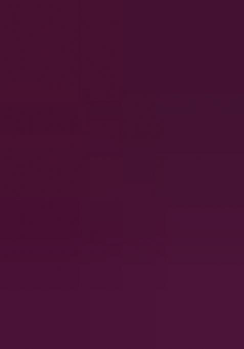 Wine Embroidered Organza Saree Set