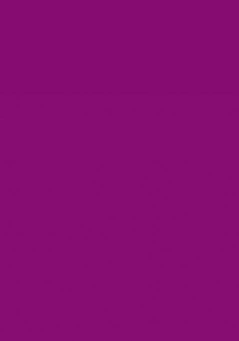 Purple Embroidered Georgette Saree Set