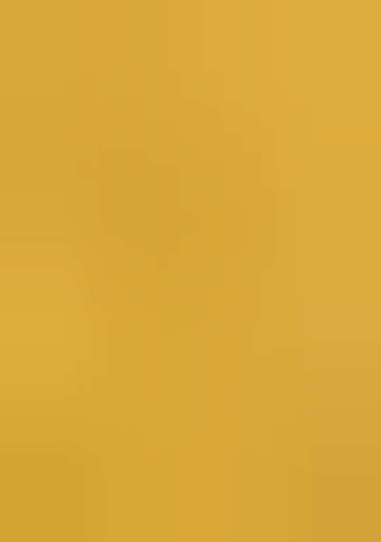 Yellow Embroidered Silk Saree Set - Indya