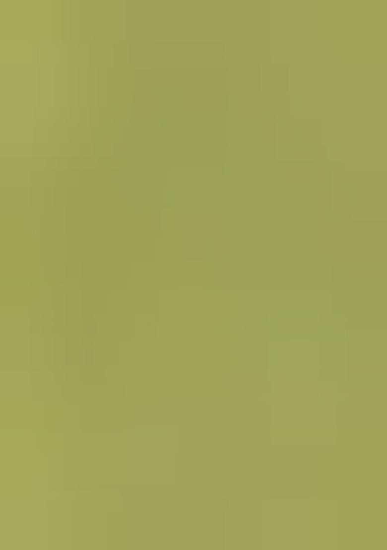 Green Meenakari Jacquard Designer Silk Saree Set