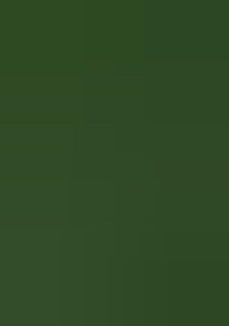 Mehndi Jacquard Work Silk Saree Set