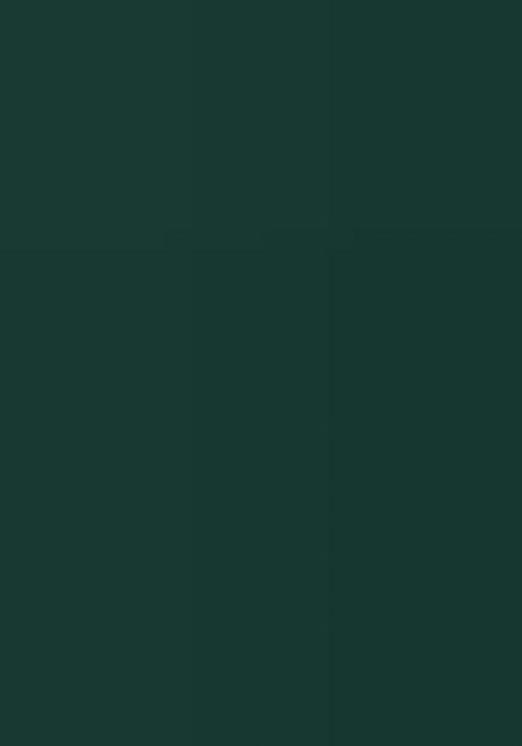 Green Jacquard Work Silk Saree Set