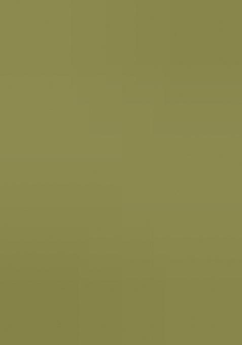 Mehndi Jacquard Work Silk Saree Set