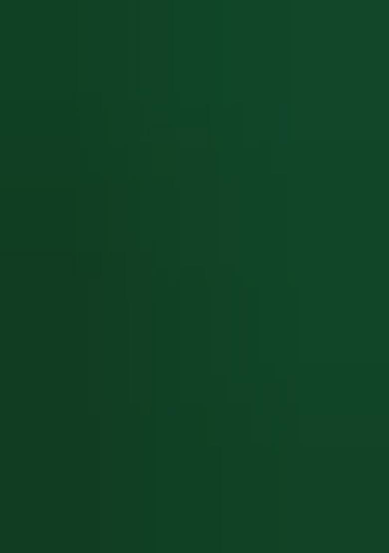 Green Embroidery Silk Saree Set