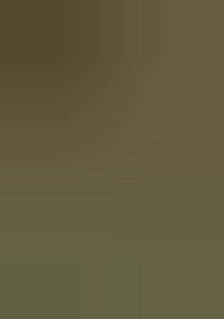 Mehandi Embroidered Net Saree Set - Indya