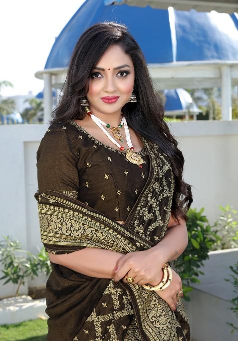 Mehandi Embroidered Silk Saree Set