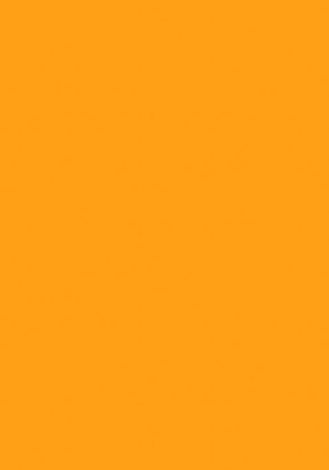 Mustard Embroidered Silk Saree Set