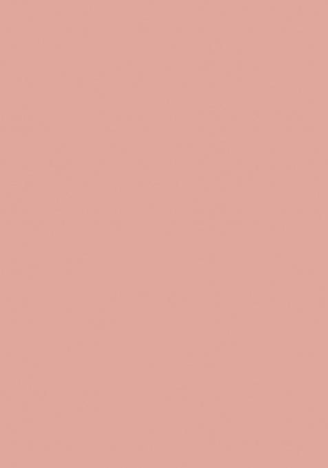 Dusty Pech Embroidered Silk Saree Set