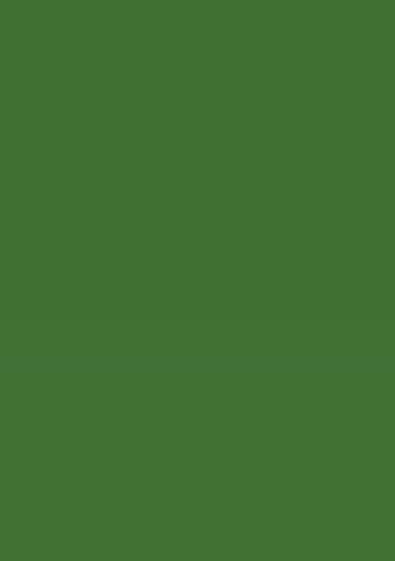 Green Embroidery Work Chiffon Saree Set - Indya