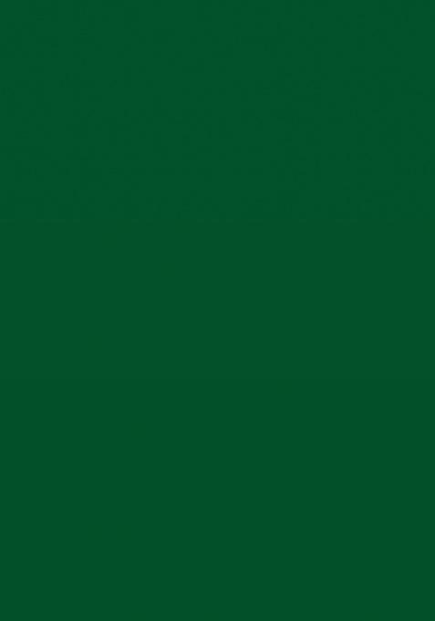 Green Embroidery Work Silk Saree Set