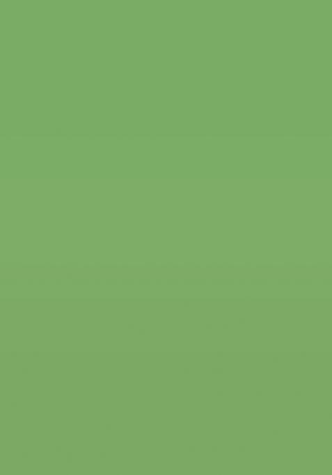 Green Embroidered Georgette Saree Set