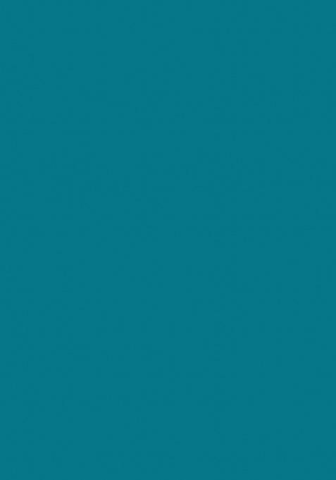 Teal Embroidered Chiffon Saree Set