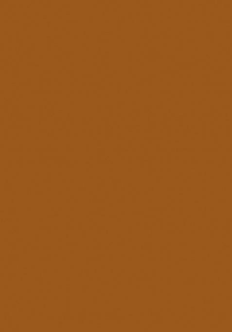 Brown Embroidered Chiffon Saree Set