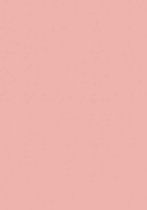 Pink Embroidered Georgette Saree Set