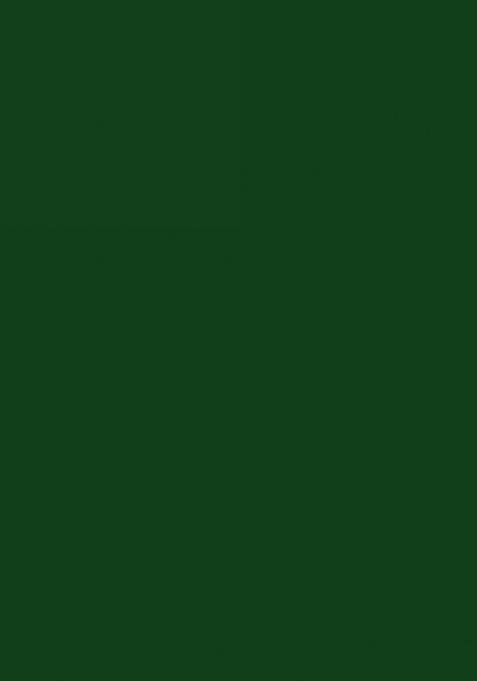 Botel Green Embroidery Work Georgette Saree Set