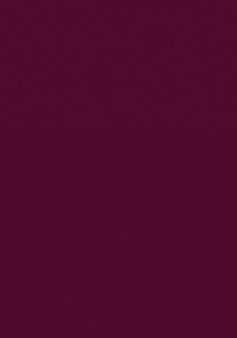 Wine Embroidery Work Georgette Saree Set