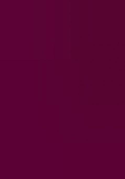 Wine Embroidery Work Georgette Saree Set