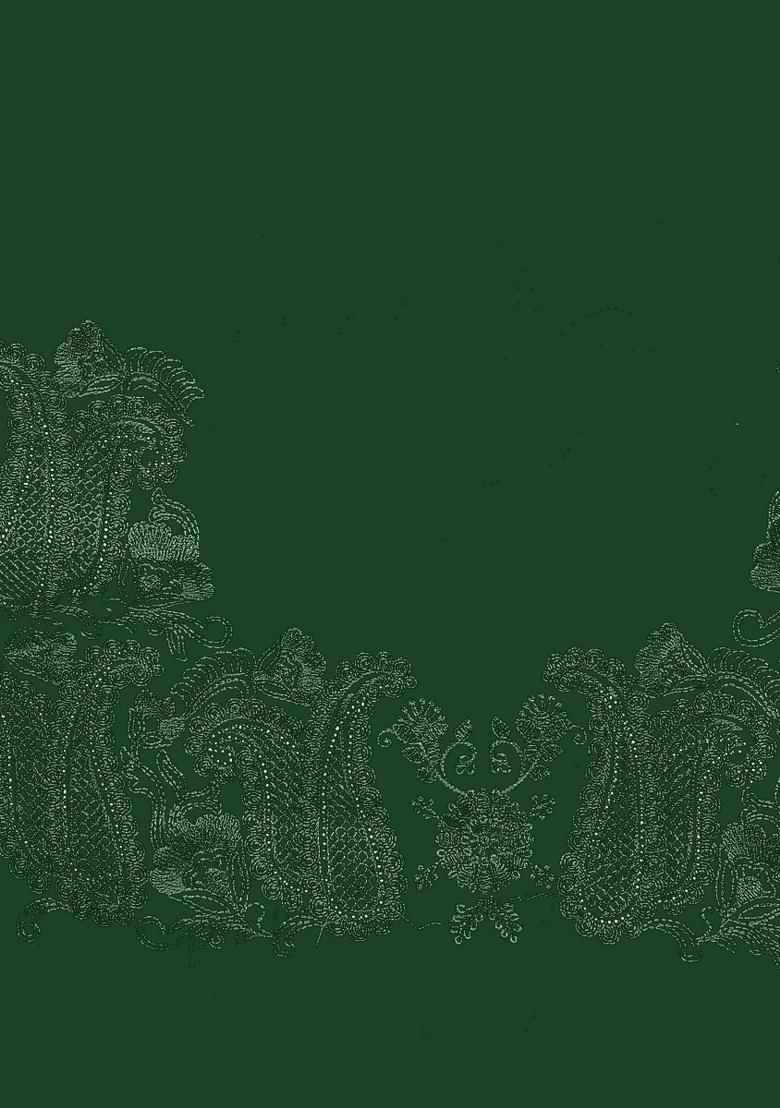 Botel Green Embroidery Work Georgette Saree Set