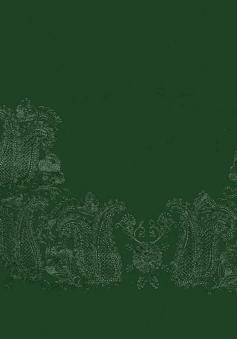 Botel Green Embroidery Work Georgette Saree Set