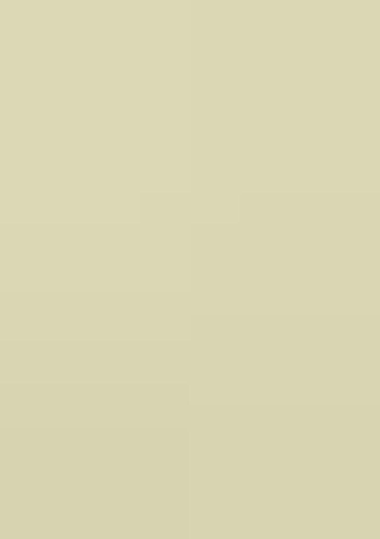 Pista Embroidery Work Silk Saree Set - Indya