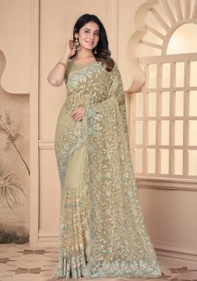Chiku Embroidery Work Net Saree Set