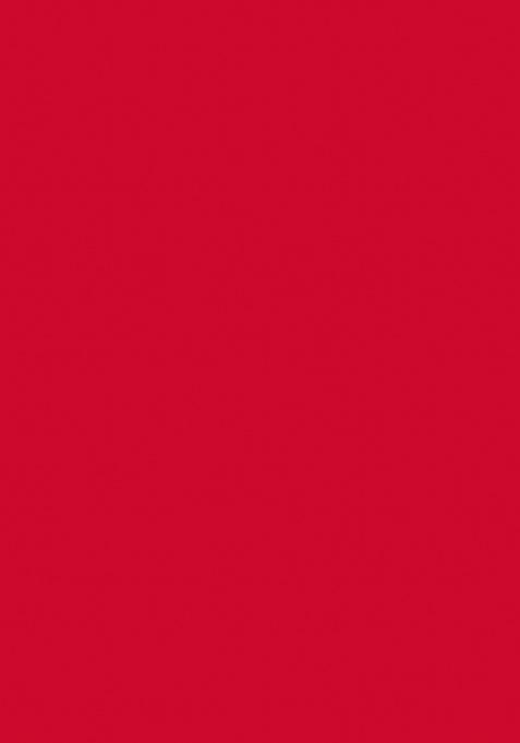 Red Heavy Jari Embrodery Silk Saree Set