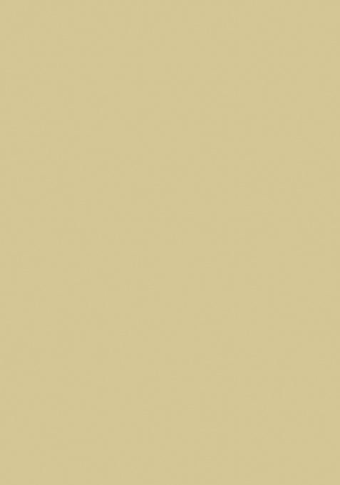 Black Heavy Jari Embrodery Silk Saree Set