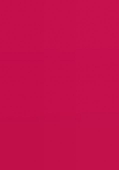 Rani Heavy Jari Embrodery Silk Saree Set