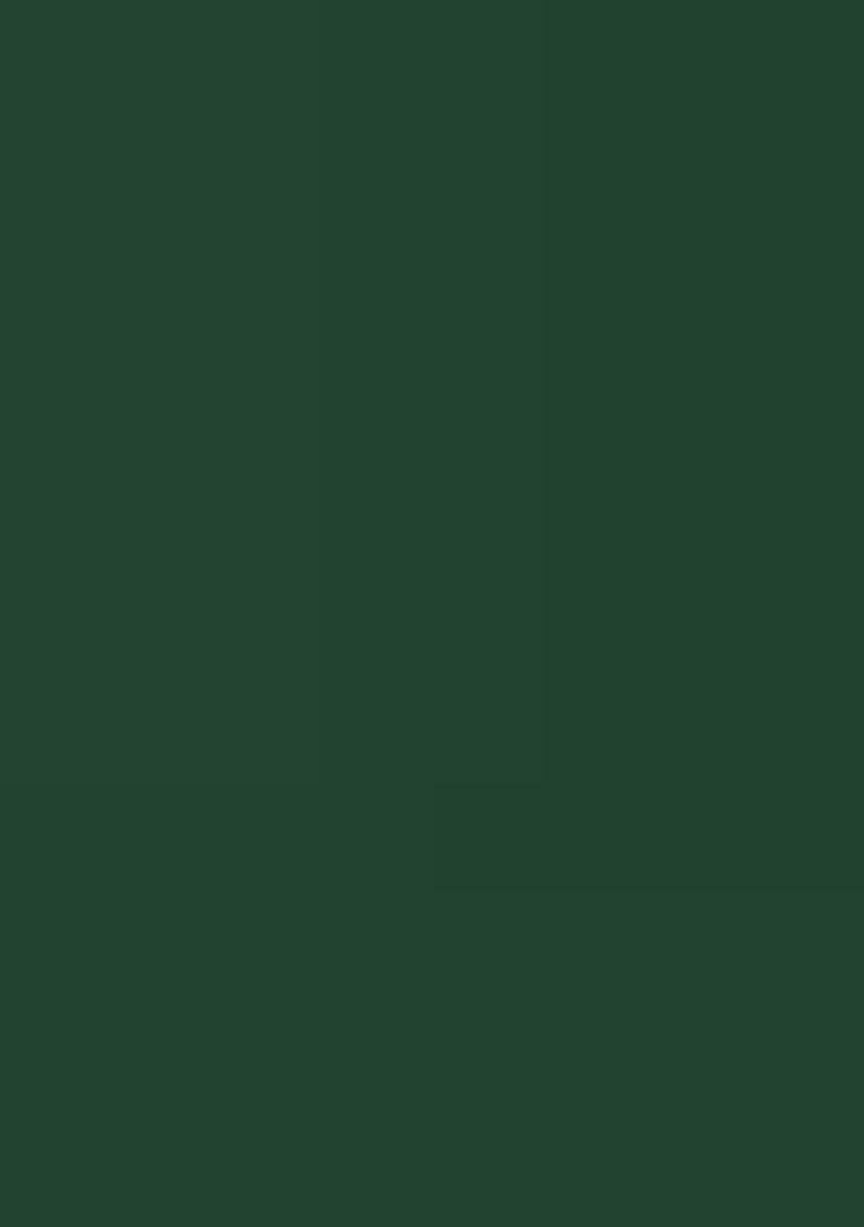 Botel Green Heavy Siroski Hot Fix Stone Work Satin Saree Set