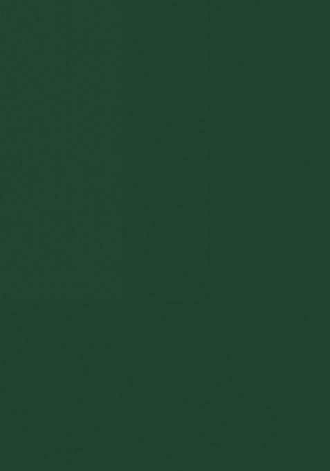 Botel Green Heavy Siroski Hot Fix Stone Work Satin Saree Set