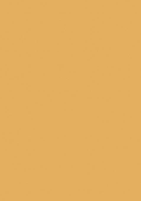 Yellow Leheriya Print Silk Saree Set