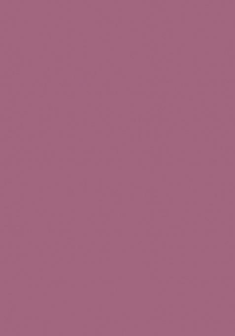 Onion pink Siroski Diamond Work Silk Saree Set