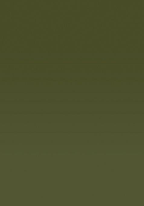 Green Ikat Silk Saree Set