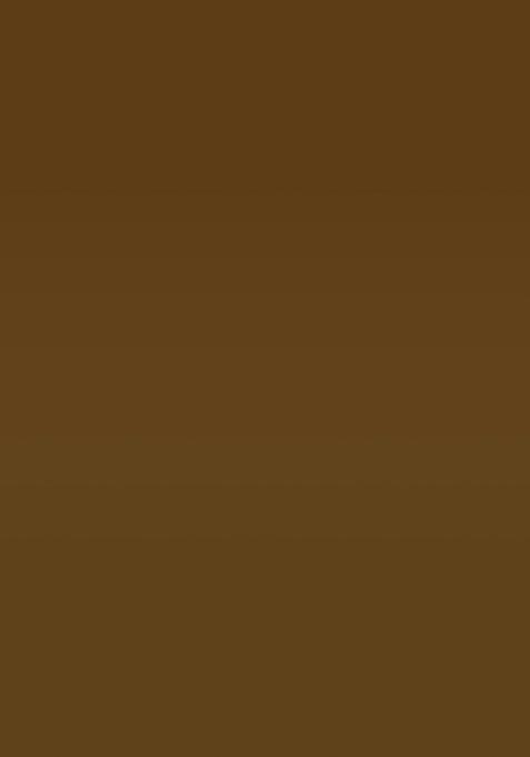 Gold Ikat Silk Saree Set