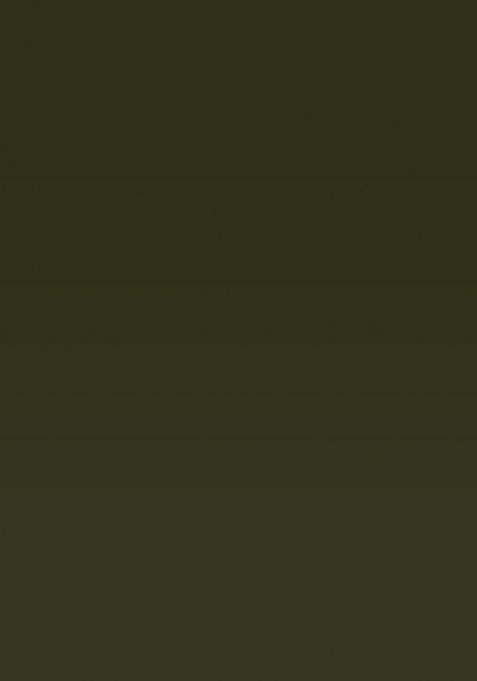 Green Ikat Silk Saree Set