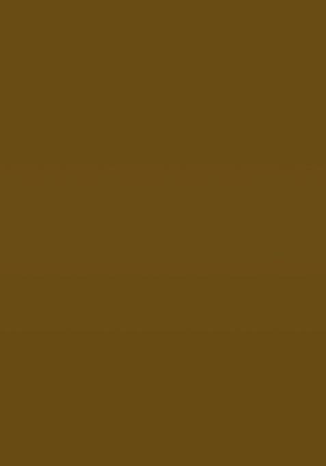 Gold Ikat Silk Saree Set