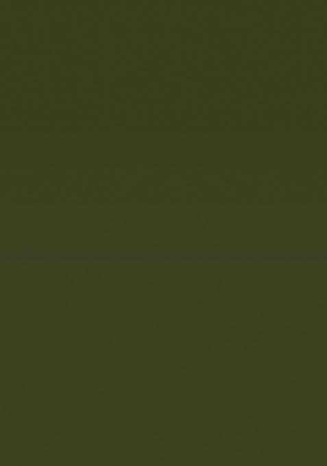 Green Ikat Silk Saree Set