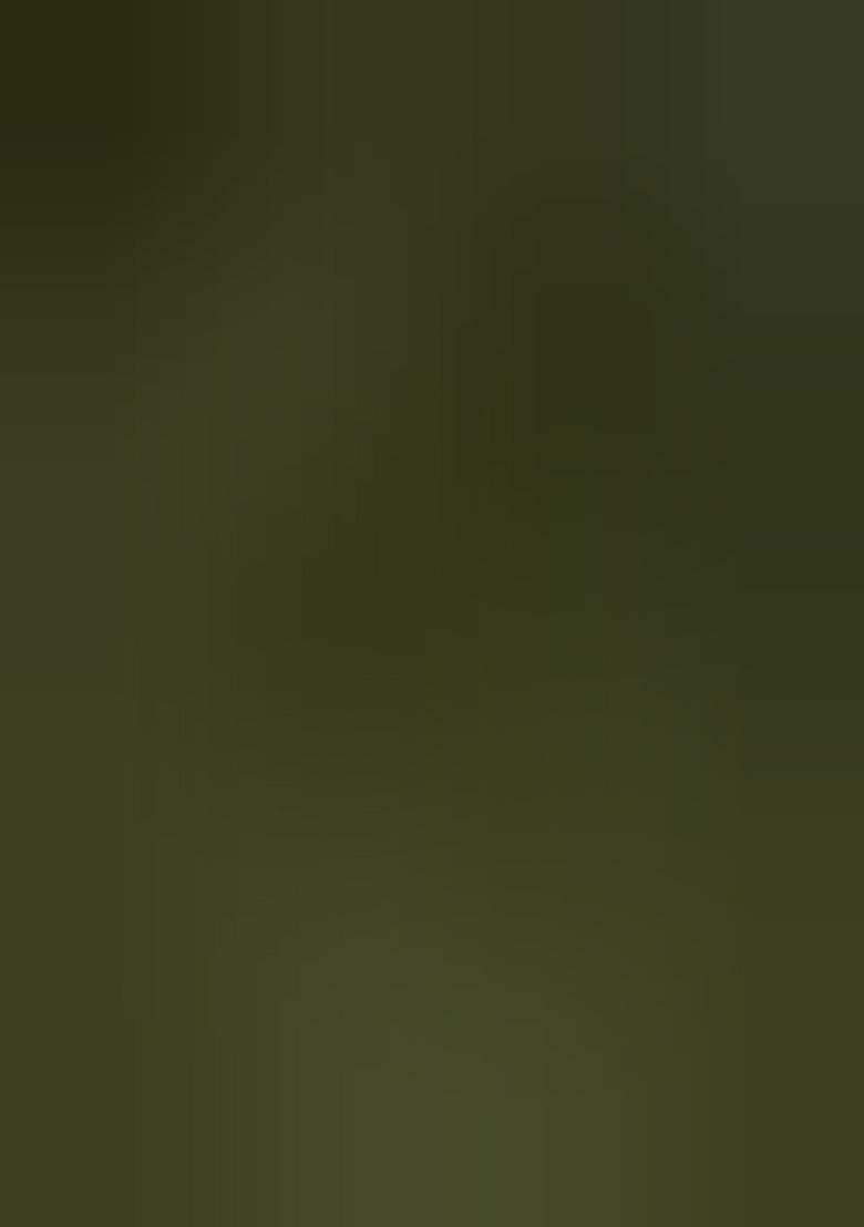 Green Ikat Silk Saree Set