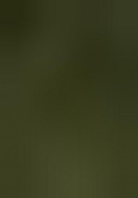 Green Ikat Silk Saree Set