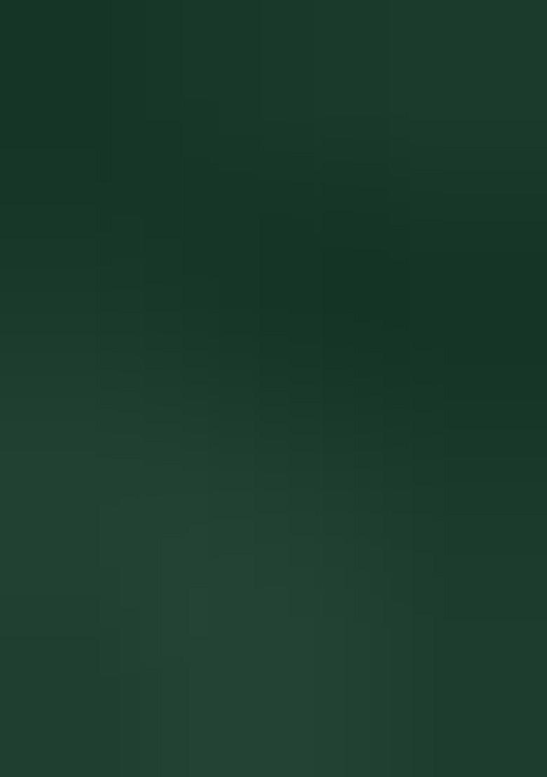 Green Ikat Silk Saree Set