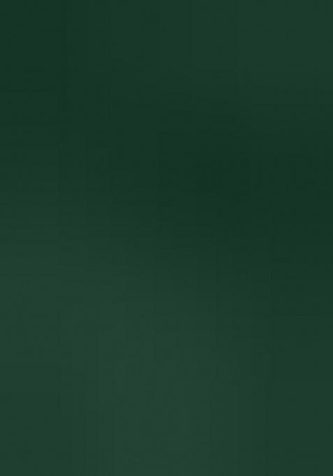 Green Ikat Silk Saree Set