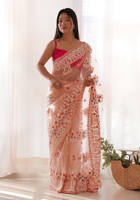 Peach Embroidery Butterfly Net Saree Set