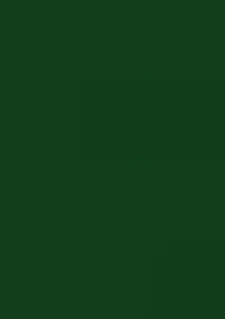 Bottle Green Embroidered Georgette Saree Set for Diwali and Festive Wear - Indya