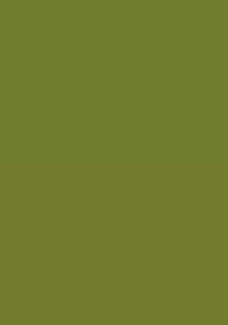 Olive Green Embroidery Lichi Silk Blend Saree With Blouse for Diwali and Festive Wear - Indya