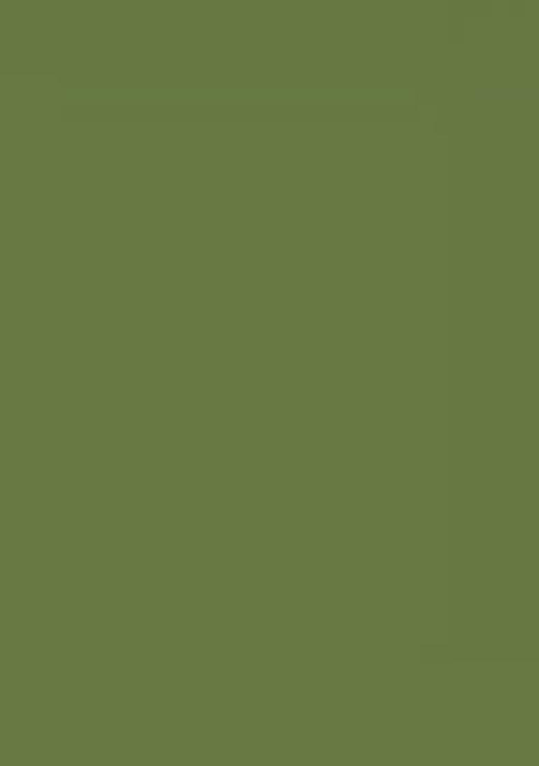 Mehendi Zari Work Silk Saree Set - Indya