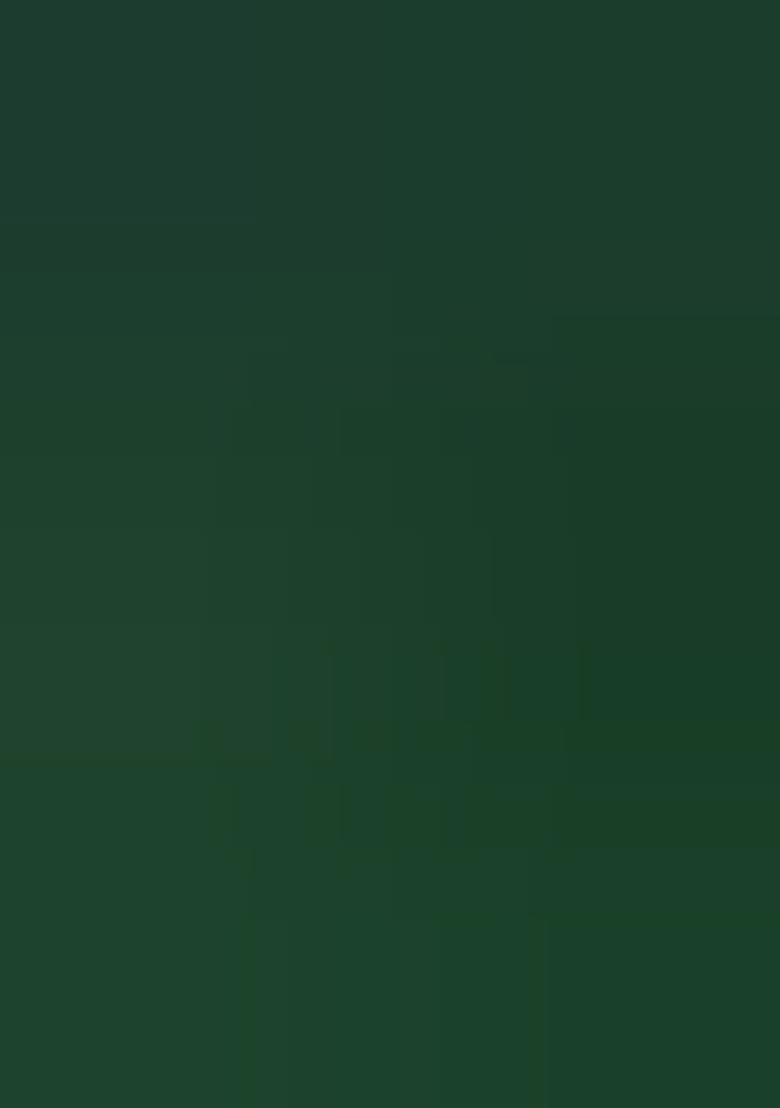 Green Weaving Silk Saree Set - Indya