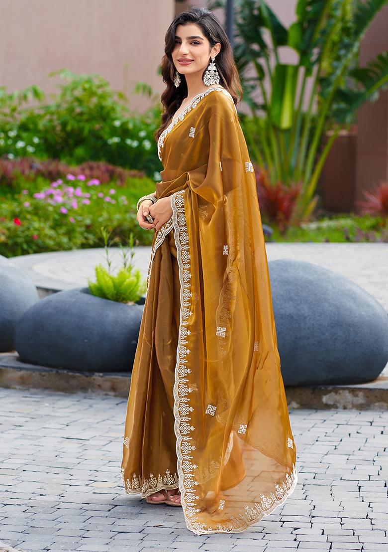 Light Brown Embroidery Chiffon Saree Set - Indya