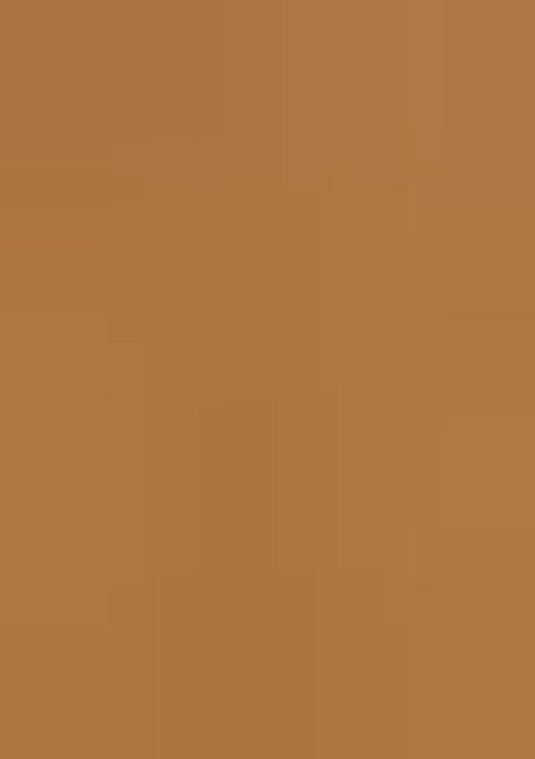 Brown Blended Silk Saree Set - Indya