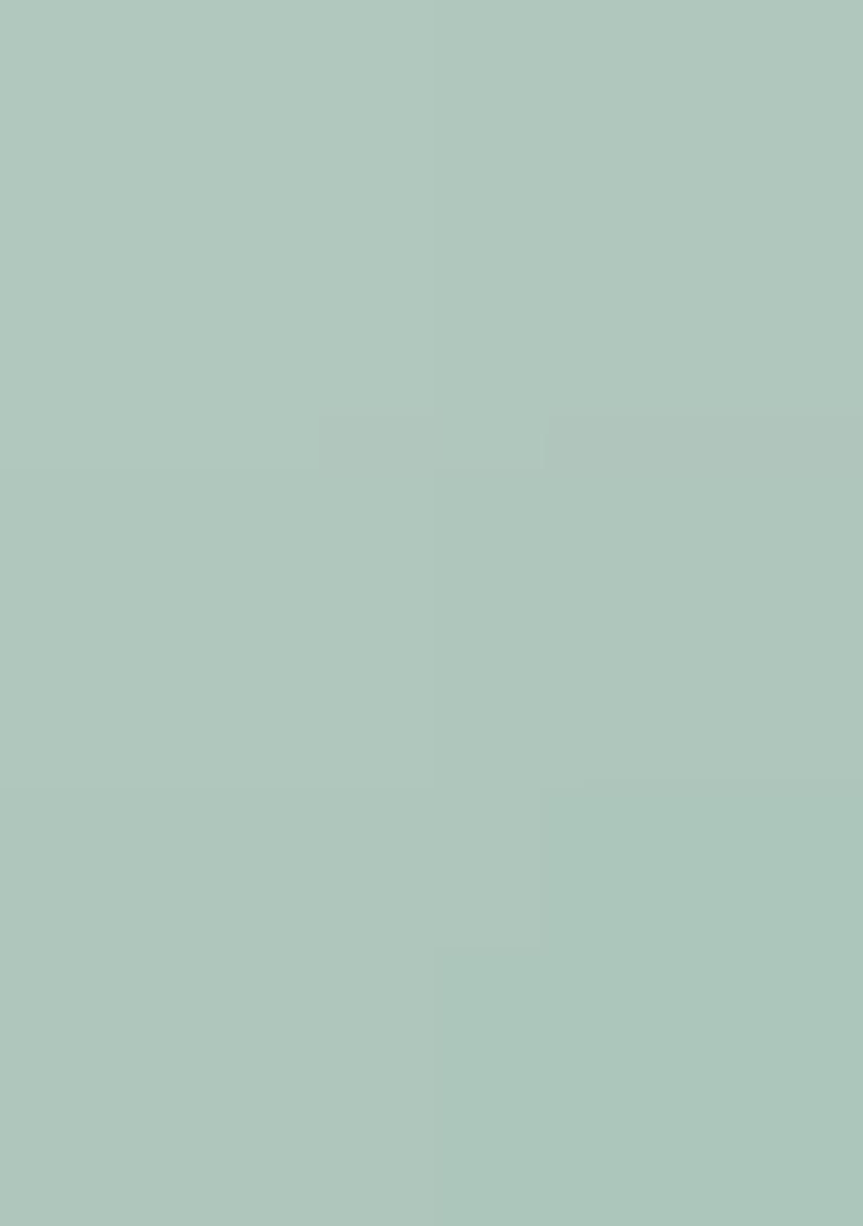 Pista Embroidery Georgette Saree Set - Indya