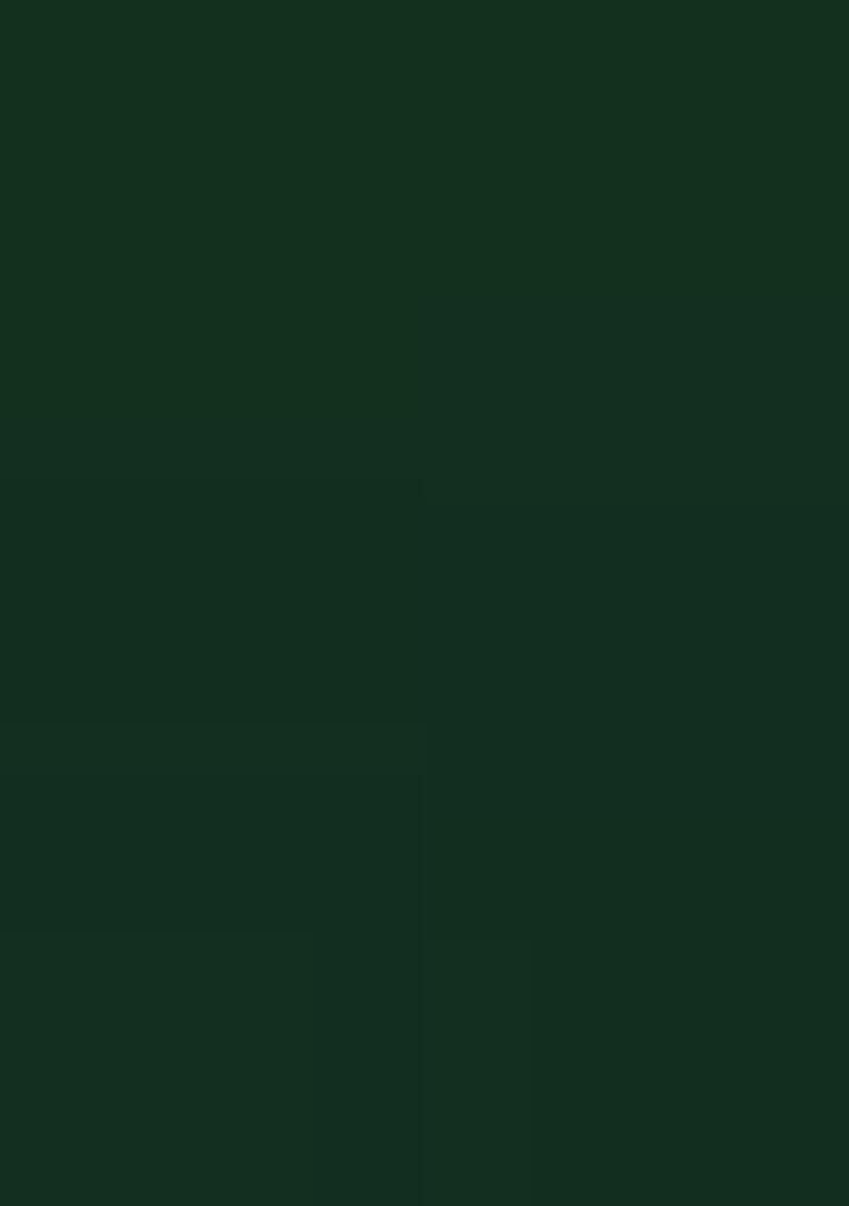 Botel Green Embroidery Georgette Saree Set - Indya